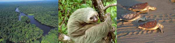 Tortuguero Nationalpark