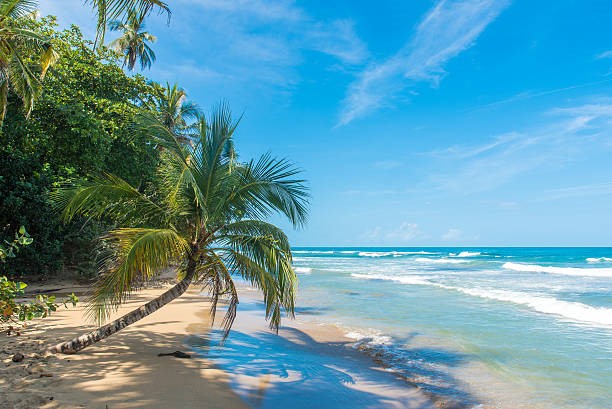 Dream beach in the Caribbean, Costa Rica